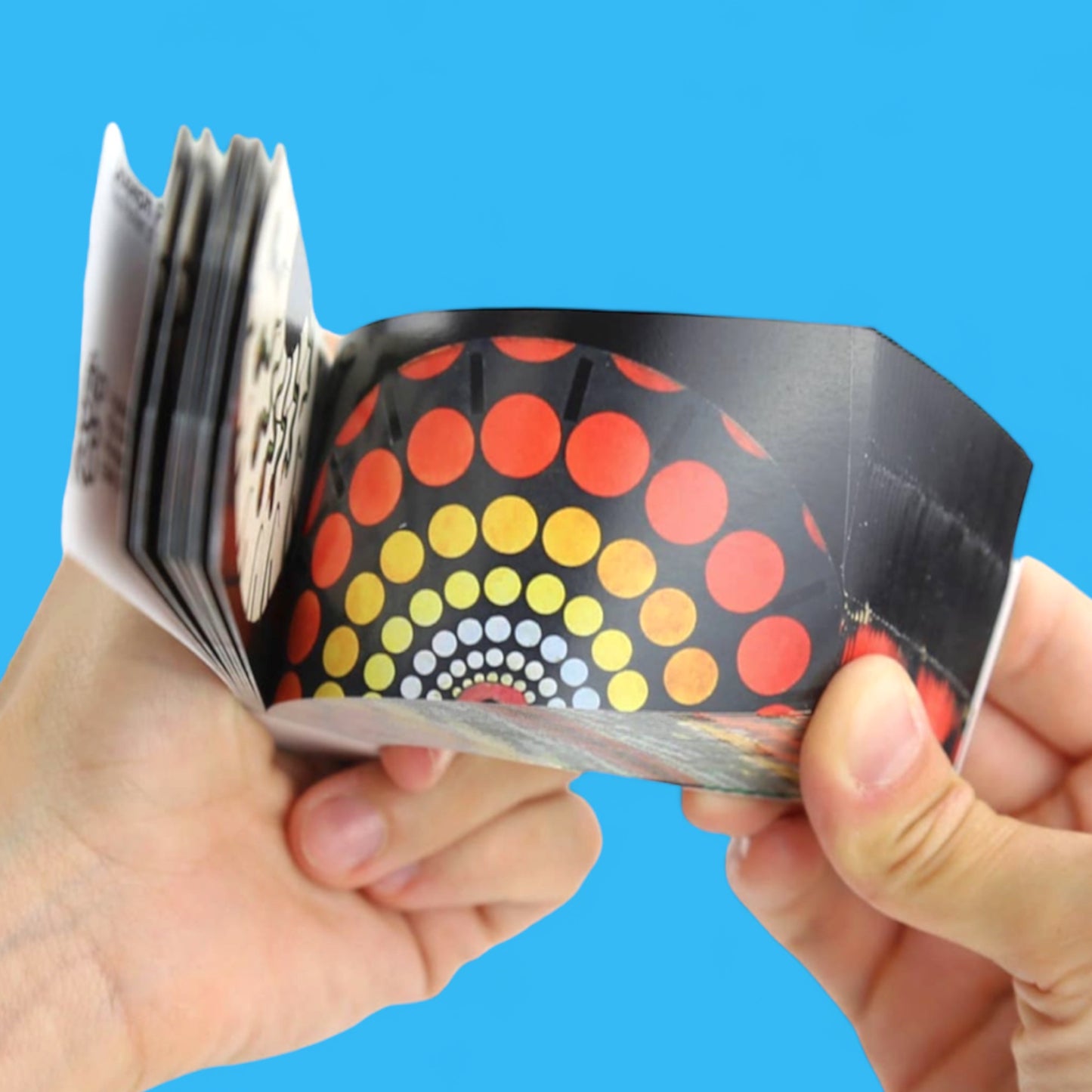 Joseph Plateau Flipbook - Hella Kitsch