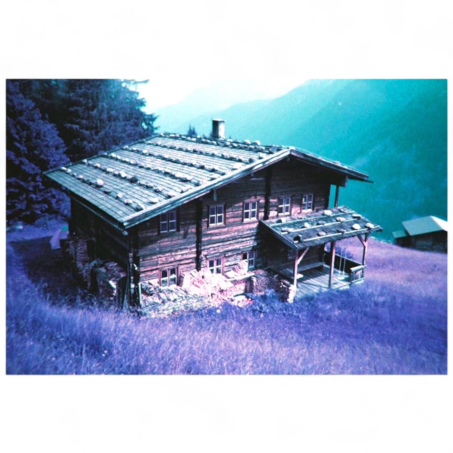 Lomography - Purple Reloadable Camera - Hella Kitsch