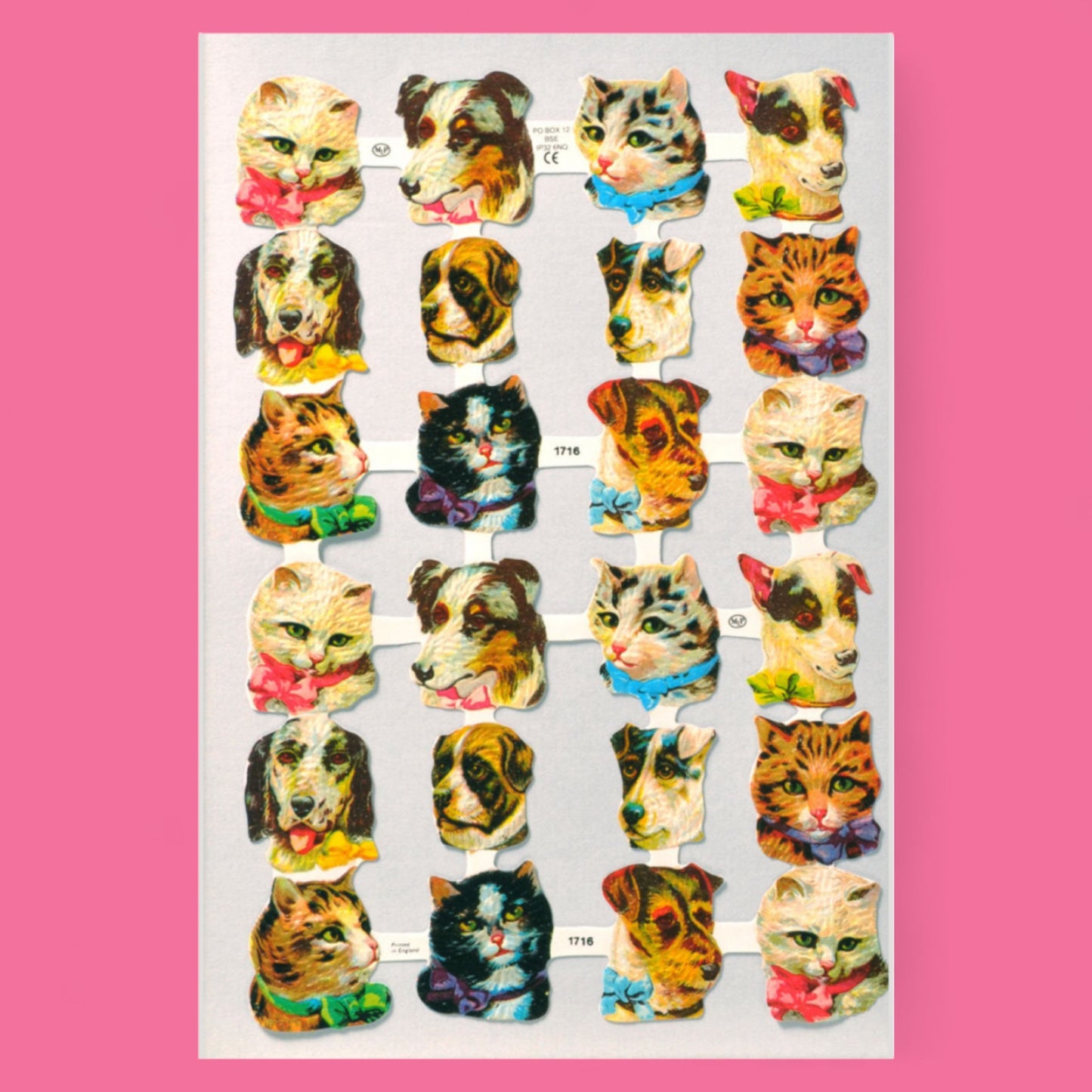 Puppies & Kittens Scrap Reliefs - Hella Kitsch