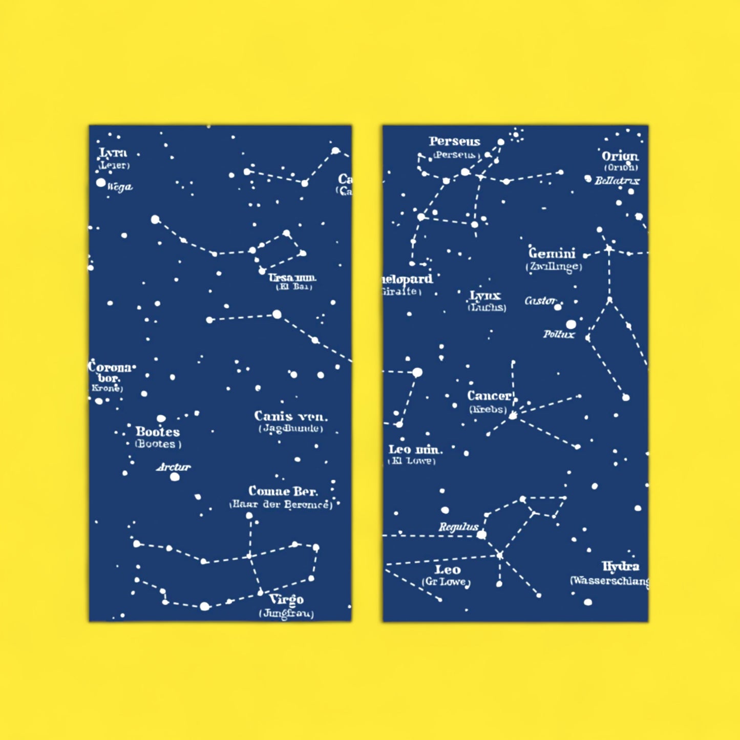 Boxed Safety Matches - Zodiac - Hella Kitsch